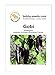 Foto Gemüsesamen Gobi Aubergine Portion neu Bestseller 2024-2023