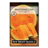 Sow Right Seeds - Orange Tendersweet Watermelon Seed for Planting - Non-GMO Heirloom Packet with Instructions to Plant a Home Vegetable Garden Photo, bestseller 2024-2023 new, best price $4.99 review