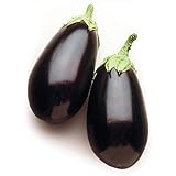 David's Garden Seeds Eggplant Night Shadow (Purple) 25 Non-GMO, Hybrid Seeds Photo, bestseller 2024-2023 new, best price $3.45 review