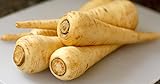 All American Parsnip Seeds, 300 Heirloom Seeds Per Packet, Non GMO Seeds Photo, bestseller 2024-2023 new, best price $5.99 ($0.02 / Count) review