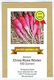 Rettich - Sommer- und Winterrettich - China Rose Winter (100 Samen) Foto, Bestseller 2024-2023 neu, bester Preis 1,80 € Rezension