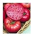 Photo 75+ Mortgage Lifter Tomato Seeds- Heirloom Variety- by Ohio Heirloom Seeds new bestseller 2023-2022