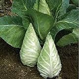 Caraflex Cabbage Seeds (20+ Seeds) | Non GMO | Vegetable Fruit Herb Flower Seeds for Planting | Home Garden Greenhouse Pack Photo, bestseller 2024-2023 new, best price $3.69 ($0.18 / Count) review