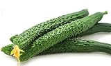 Cucumber Seeds for Planting Vegetables and Fruits-Asian Suyo Long Cucumber Plant Seeds,Burpless Non GMO Garden Seeds Vegetable Seeds,Oriental Chinese Cucumber Seeds-11ct Veggie Seeds China Long Hybrid Photo, bestseller 2024-2023 new, best price $3.86 ($0.35 / Count) review