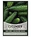 Photo Cucumber Seeds for Planting - Marketmore 76 - Cucumis sativus Heirloom, Non-GMO Vegetable Variety- 1 Gram Seeds Great for Outdoor Gardening by Gardeners Basics new bestseller 2024-2023
