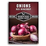Survival Garden Seeds - Red Burgundy Onion Seed for Planting - Packet with Instructions to Plant and Grow Delicious Red Short Day Onions in Your Home Vegetable Garden - Non-GMO Heirloom Variety Photo, bestseller 2024-2023 new, best price $4.99 review