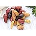 Photo Simply Seed - 10 Piece - Fingerling Potato Seed Mix - Non GMO - Naturally Grown - Order Now for Spring Planting new bestseller 2023-2022