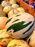 10 Snowball Melon Seeds | Hard to Find- Ships from Iowa, USA - Snow Leopard Melon Seeds Photo, bestseller 2024-2023 new, best price $10.96 ($1.10 / Count) review