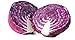 Photo 600 Red Acre Cabbage Seeds | Non-GMO | Fresh Garden Seeds new bestseller 2024-2023