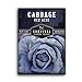 Photo Survival Garden Seeds - Red Acre Cabbage Seed for Planting - Packet with Instructions to Plant and Grow Purple Cabbages in Your Home Vegetable Garden - Non-GMO Heirloom Variety new bestseller 2024-2023