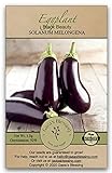 Gaea's Blessing Seeds - Eggplant Seeds (200 Seeds) Black Beauty Heirloom Non-GMO Seeds with Easy to Follow Planting Instructions - 92% Germination Rate Net Wt. 1.0g Photo, bestseller 2024-2023 new, best price $5.99 review