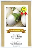 Aubergine - weiß - rund - italienisch - mittelfrüh - Bianca Tonda - 80 Samen Foto, Bestseller 2024-2023 neu, bester Preis 2,39 € Rezension