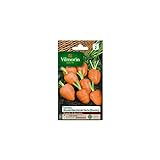 La bolsa de semillas de zanahoria Ronda Mercado París Foto, éxito de ventas 2024-2023 nuevo, mejor precio 5,85 € revisión