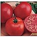 Photo Burpee Big Boy Tomato Seeds (20+ Seeds) | Non GMO | Vegetable Fruit Herb Flower Seeds for Planting | Home Garden Greenhouse Pack new bestseller 2023-2022