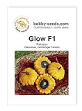 Glow F1 Kürbissamen von Bobby-Seeds, Portion Foto, Bestseller 2024-2023 neu, bester Preis 2,75 € Rezension