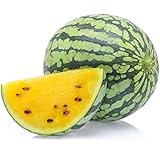 Yellow Watermelon Seeds 8+ Sweet Fruit Vine Organic Non-GMO Easy to Grow (Citrullus lanatus) for Garden Outdoor Indoor Farm Foto, éxito de ventas 2024-2023 nuevo, mejor precio 10,56 € revisión