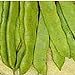 Photo Romano Pole Beans Seeds (20+ Seeds) | Non GMO | Vegetable Fruit Herb Flower Seeds for Planting | Home Garden Greenhouse Pack new bestseller 2024-2023