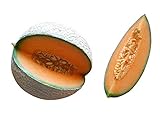 Melone Cantaloupe 10 Samen (Selten) Sehr Süß Foto, Bestseller 2024-2023 neu, bester Preis 1,98 € Rezension