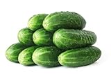 50 Straight Eight Cucumber Seeds - Heirloom Non-GMO USA Grown Vegetable Seeds for Planting - Pickling and Slicing Cucumber Photo, bestseller 2024-2023 new, best price $4.99 ($0.10 / Count) review