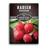 Survival Garden Seeds - Champion Radish Seed for Planting - Packet with Instructions to Plant and Grow Red Radishes in Your Home Vegetable Garden - Non-GMO Heirloom Variety Photo, bestseller 2024-2023 new, best price $4.99 review