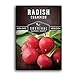 Photo Survival Garden Seeds - Champion Radish Seed for Planting - Packet with Instructions to Plant and Grow Red Radishes in Your Home Vegetable Garden - Non-GMO Heirloom Variety new bestseller 2024-2023