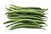 Photo Green Bean Seeds for Planting - Provider - Bush Bean - 50 Seeds - Heirloom Non-GMO Vegetable Seeds for Planting new bestseller 2023-2022