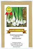 Frühlingszwiebel - Frühernte (300 Samen) Foto, Bestseller 2024-2023 neu, bester Preis 1,80 € Rezension