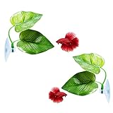 2 Pack Betta Fish Leaf Pad Cousduobe Improves Betta's Health by Simulating The Natural Habitat - Natural, Organic, Comfortable Rest Area for Fish Aquarium Photo, bestseller 2024-2023 new, best price $6.98 review