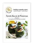 Kürbissamen Tondo Scuro di Piacenza Zucchini Portion Foto, Bestseller 2024-2023 neu, bester Preis 1,75 € Rezension
