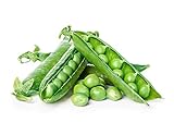 Green Arrow Pea Seeds Photo, bestseller 2024-2023 new, best price $5.49 review