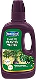 Fertiligène Engrais Plantes Vertes, 400 ML Photo, best-seller 2024-2023 nouveau, meilleur prix 5,90 € (14,75 € / l) examen