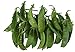 Photo Oregon Giant Snow Pea Seeds- 50 Count Seed Pack - Non-GMO - Finest Tasting, Most Vigorous Snow peas. Use Them for Colorful Tasty stir-Fry Recipes or eat raw. - Country Creek LLC new bestseller 2023-2022
