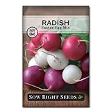 Sow Right Seeds - Easter Egg Radish Seed for Planting - Non-GMO Heirloom Packet with Instructions to Plant and Grow an Indoor or Outdoor Home Vegetable Garden - Easy to Grow - Great Gardening Gift Photo, bestseller 2024-2023 new, best price $4.99 review