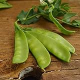Oregon Sugar Pod II Snow Pea - 50 Seeds - Heirloom & Open-Pollinated Variety, Easy-to-Grow & Cold-Tolerant, Non-GMO Vegetable Seeds for Planting Outdoors in The Home Garden, Thresh Seed Company Photo, bestseller 2024-2023 new, best price $7.99 ($0.16 / Count) review