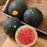 David's Garden Seeds Fruit Watermelon Moon & Stars 5547 (Red) 50 Non-GMO, Heirloom Seeds Photo, bestseller 2024-2023 new, best price $3.45 review