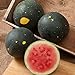 Photo David's Garden Seeds Fruit Watermelon Moon & Stars 5547 (Red) 50 Non-GMO, Heirloom Seeds new bestseller 2024-2023