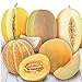 Photo NIKA SEEDS - Friut Cantaloupe Sweet Big Five Mix - 10-20 Seeds new bestseller 2024-2023