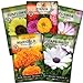 Photo Sow Right Seeds - Flower Seed Garden Collection for Planting - 5 Packets Includes Marigold, Zinnia, Sunflower, Cape Daisy, and Cosmos - Wonderful Gardening Gift new bestseller 2024-2023