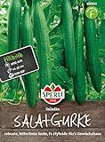80900 Sperli Premium Gurken Samen Saladin | Schlangengurken Samen | Gurkensamen Gewächshaus | Samen Gurke | Salatgurken Samen Foto, Bestseller 2024-2023 neu, bester Preis 4,97 € Rezension