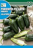 Semilla Pimiento Picante Jalapeño - Rocalba Foto, éxito de ventas 2024-2023 nuevo, mejor precio 2,00 € revisión