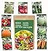 Photo Heirloom Vegetable Seeds -9 Variety - Non GMO Vegetable Seeds for Planting Indoor or Outdoors, Tomato, Carrots, Cantaloupe, Cucumber, Green Honeydew Melon, Pumpkin, Watermelon, Cherry Belle Radish, S new bestseller 2024-2023