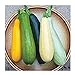 Photo David's Garden Seeds Zucchini Summer Melody 9112 (Multi) 50 Non-GMO, Heirloom Seeds new bestseller 2024-2023