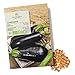 Foto BIO Aubergine Samen (Black Beauty) - Auberginen Saatgut aus biologischem Anbau ideal für die Anzucht im Garten, Balkon oder Terrasse neu Bestseller 2024-2023