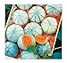 Photo David's Garden Seeds Fruit Melon Savor (Orange) 25 Non-GMO, Hybrid Seeds new bestseller 2023-2022
