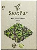 SaatPur Thai-Basilikum Samen für ca. 150 Pflanzen Foto, Bestseller 2024-2023 neu, bester Preis 3,99 € Rezension