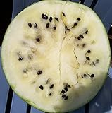 Cream of Saskatchewan Heirloom Watermelon (Certified Organic Seeds) by Stonysoil Seed Company Photo, bestseller 2024-2023 new, best price $7.95 review