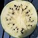 Photo Cream of Saskatchewan Heirloom Watermelon (Certified Organic Seeds) by Stonysoil Seed Company new bestseller 2024-2023
