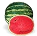Photo Crimson Sweet Heirloom Watermelon Seeds new bestseller 2024-2023