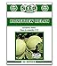 Photo Honeydew Melon Seeds - 50 Seeds Non-GMO new bestseller 2024-2023