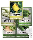 Cucumber Seeds for Planting Outdoors 5 Variety Pack Armenian, Boston Pickling, Lemon, Spacemaster, Straight Eight Veggie Seeds by Gardeners Basics Photo, bestseller 2024-2023 new, best price $10.95 review